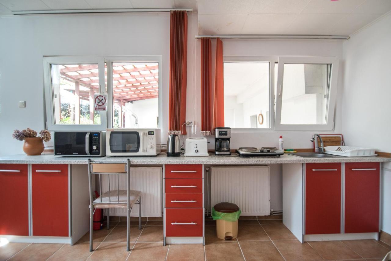 Transylvania Guest House Braszów Zewnętrze zdjęcie